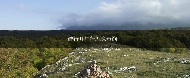 建行开户行怎么查询,第1张