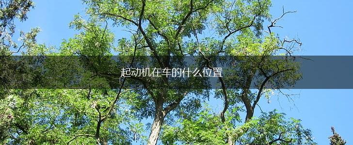 起动机在车的什么位置,第1张