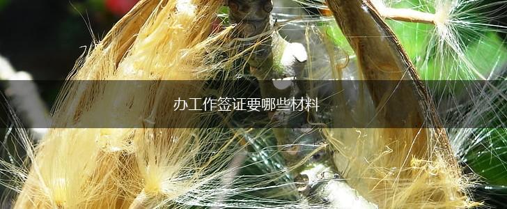 办工作签证要哪些材料,第1张