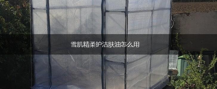 雪肌精柔护洁肤油怎么用,第1张