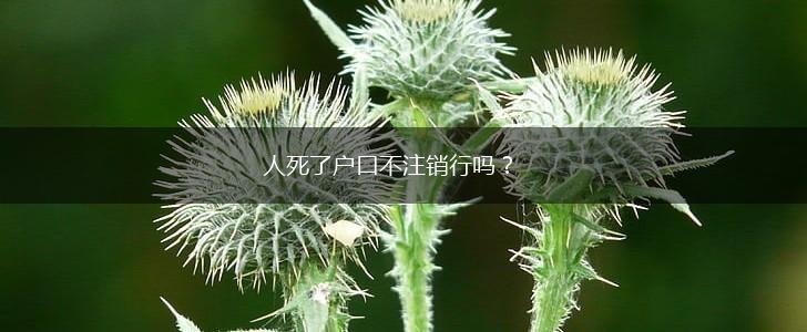 人死了户口不注销行吗？,第1张