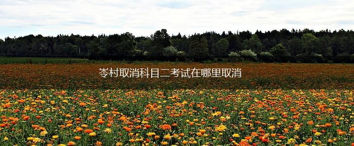 岺村取消科目二考试在哪里取消,第1张 岺村取消科目二考试在哪里取消,第1张
