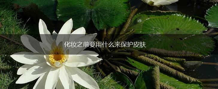 化妆之前要用什么来保护皮肤,第1张