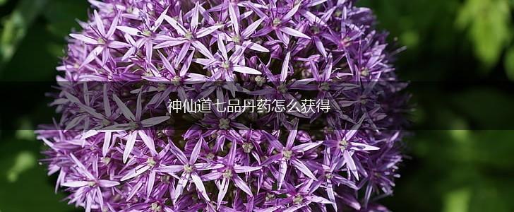 神仙道七品丹药怎么获得,第1张