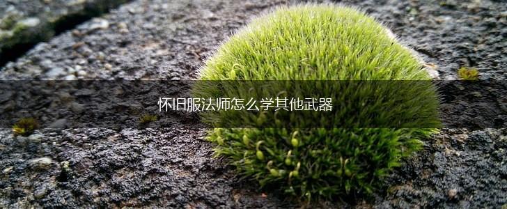 怀旧服法师怎么学其他武器,第1张