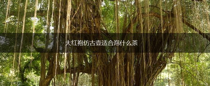 大红袍仿古壶适合泡什么茶,第1张