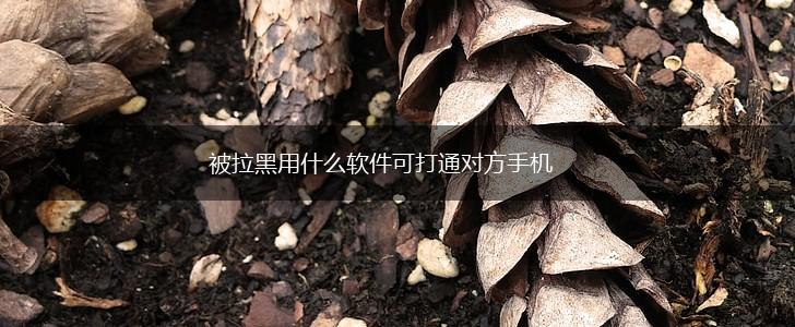 被拉黑用什么软件可打通对方手机,第1张 被拉黑用什么软件可打通对方手机,第1张