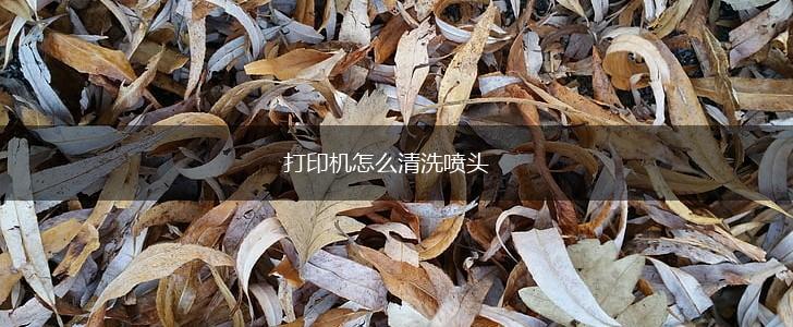 打印机怎么清洗喷头,第1张