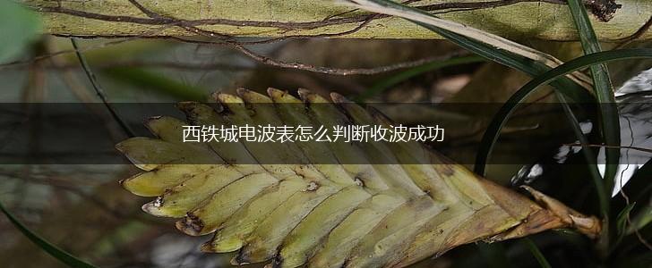 西铁城电波表怎么判断收波成功,第1张