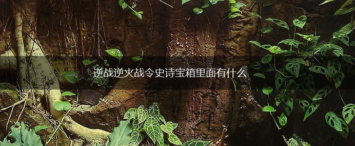 逆战逆火战令史诗宝箱里面有什么,第1张