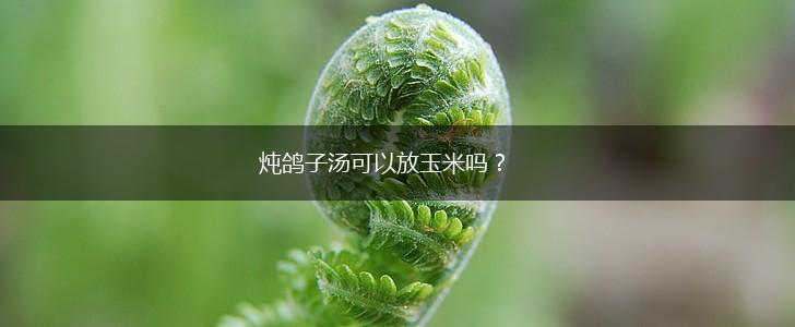炖鸽子汤可以放玉米吗？,第1张
