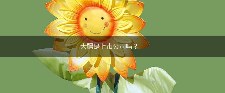 大疆是上市公司吗？,第1张