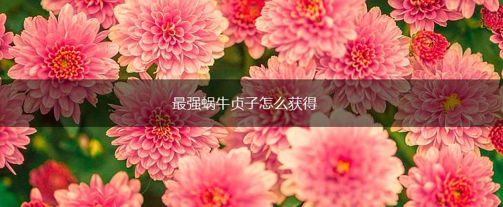 最强蜗牛贞子怎么获得,第1张