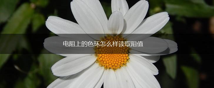 电阻上的色环怎么样读取阻值,第1张