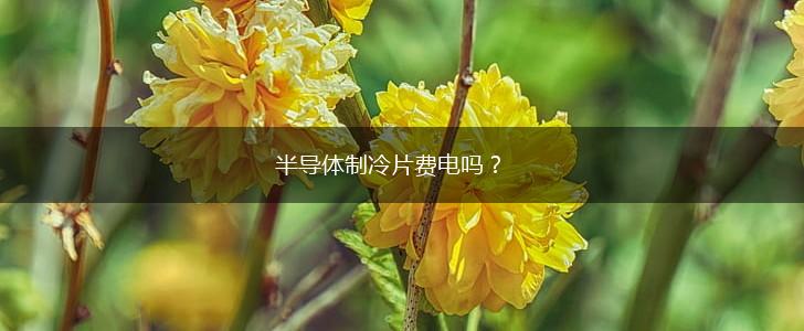 半导体制冷片费电吗？,第1张