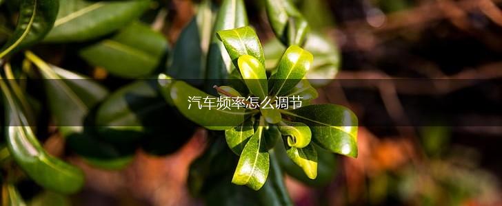 汽车频率怎么调节,第1张