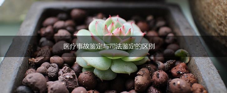 医疗事故鉴定与司法鉴定的区别,第1张