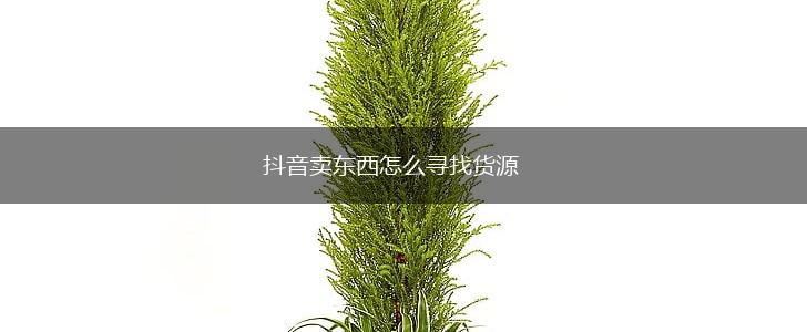 抖音卖东西怎么寻找货源,第1张