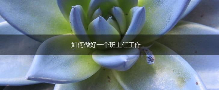 如何做好一个班主任工作,第1张