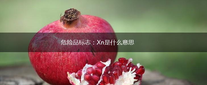 危险品标志：Xn是什么意思,第1张