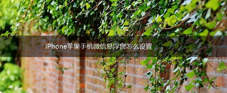 iPhone苹果手机微信悬浮窗怎么设置,第1张