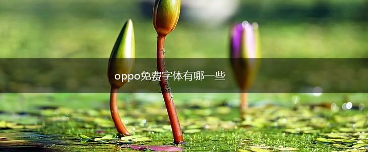 oppo免费字体有哪一些,第1张