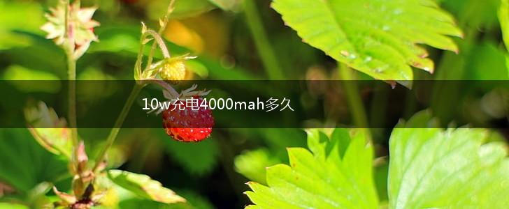 10w充电4000mah多久,第1张 10w充电4000mah多久,第1张
