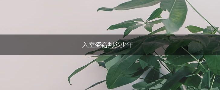 入室盗窃判多少年,第1张