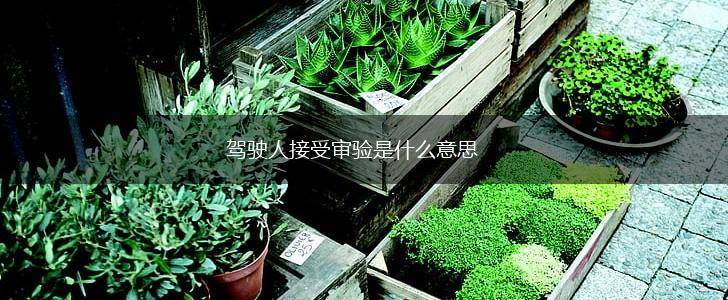 驾驶人接受审验是什么意思,第1张