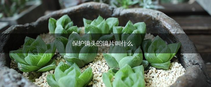 保护镜头的镜片叫什么,第1张