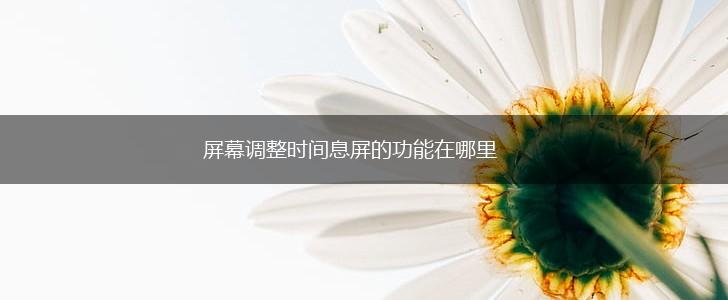 屏幕调整时间息屏的功能在哪里,第1张
