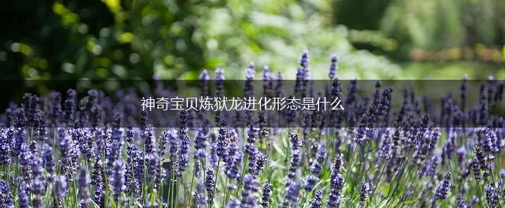 神奇宝贝炼狱龙进化形态是什么,第1张