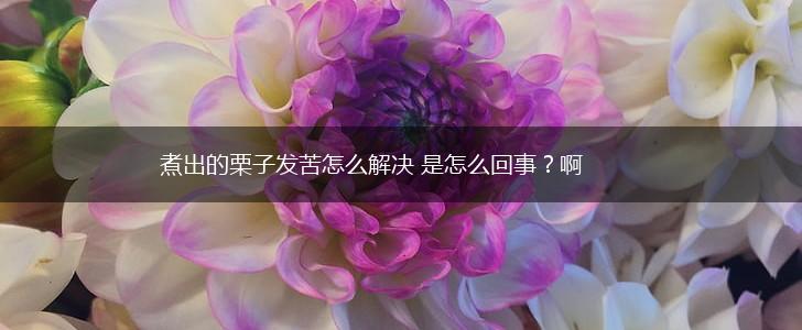 煮出的栗子发苦怎么解决 是怎么回事?啊,第1张 煮出的栗子发苦怎么解决 是怎么回事?啊,第1张