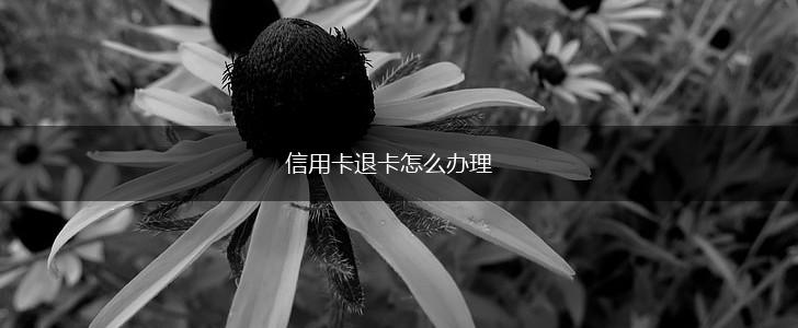 信用卡退卡怎么办理,第1张