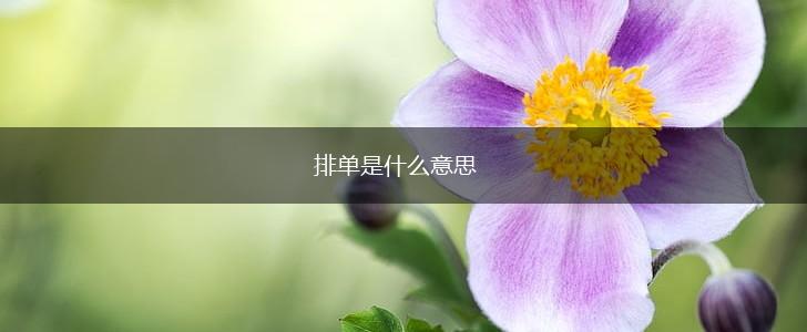 排单是什么意思,第1张