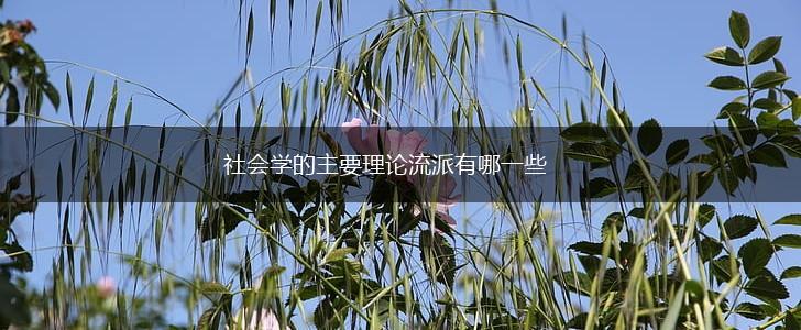 社会学的主要理论流派有哪一些,第1张
