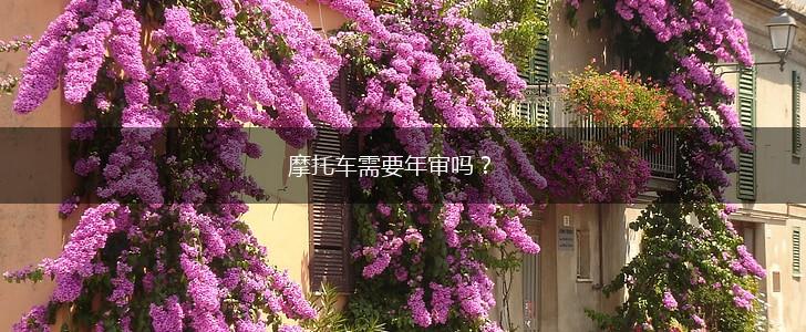 摩托车需要年审吗？,第1张