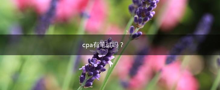 cpa有笔试吗？,第1张