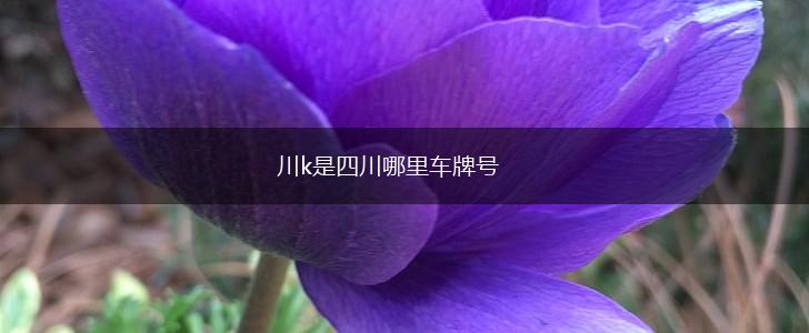 川k是四川哪里车牌号,第1张