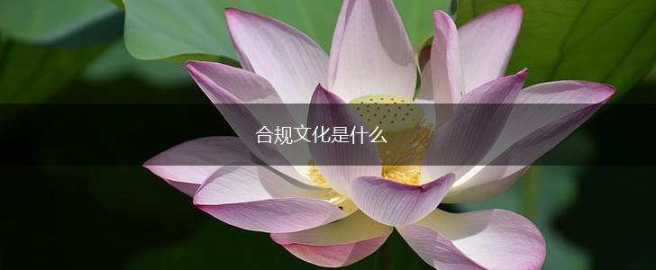 合规文化是什么,第1张