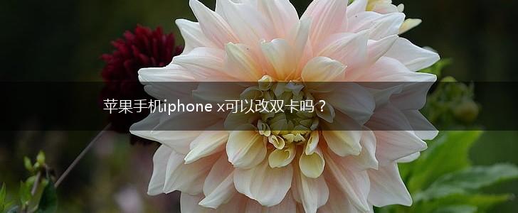 苹果手机iphone x可以改双卡吗？,第1张