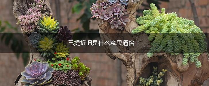 已提折旧是什么意思通俗,第1张