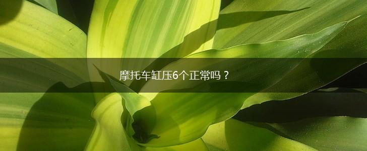 摩托车缸压6个正常吗？,第1张