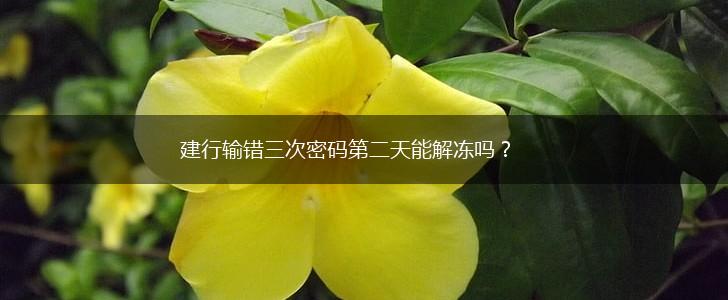 建行输错三次密码第二天能解冻吗?,第1张 建行输错三次密码第二天能解冻吗?,第1张