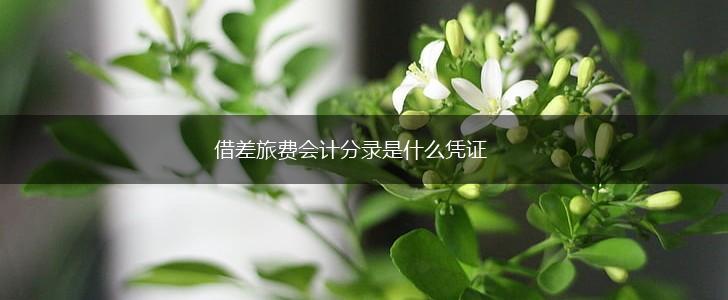借差旅费会计分录是什么凭证,第1张