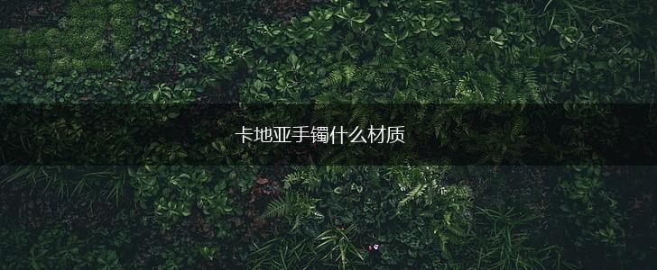 卡地亚手镯什么材质,第1张