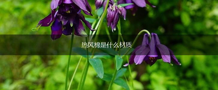 热风棉是什么材质,第1张