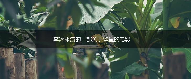 李冰冰演的一部关于鲨鱼的电影,第1张 李冰冰演的一部关于鲨鱼的电影,第1张