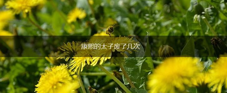 康熙的太子废了几次,第1张