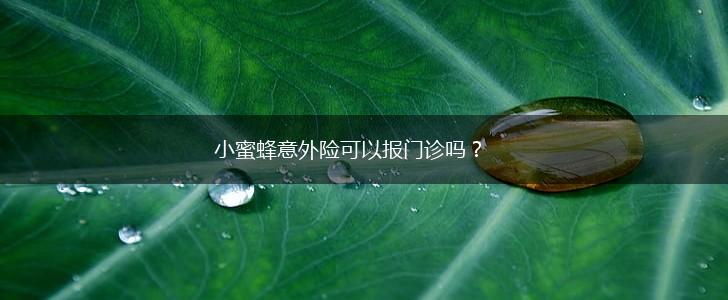 小蜜蜂意外险可以报门诊吗？,第1张